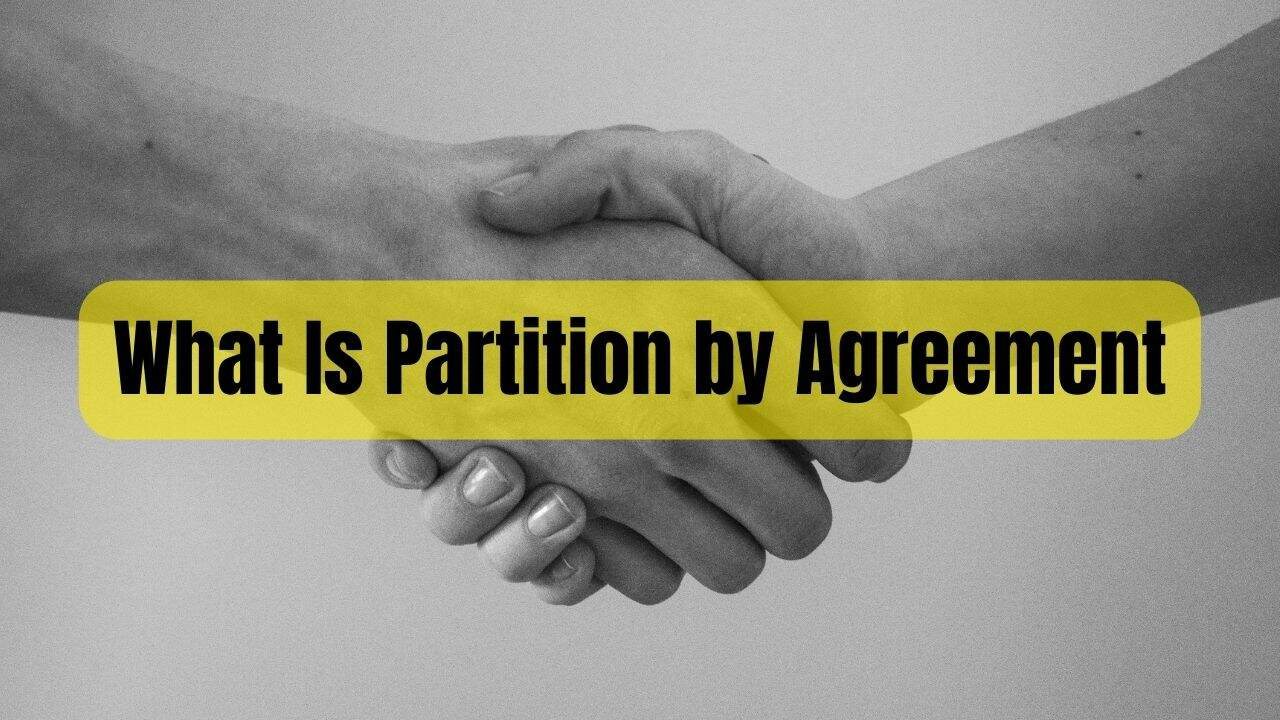 What Is Partition by Agreement